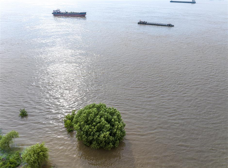 195,000 people evacuated in rainstorms in east china province