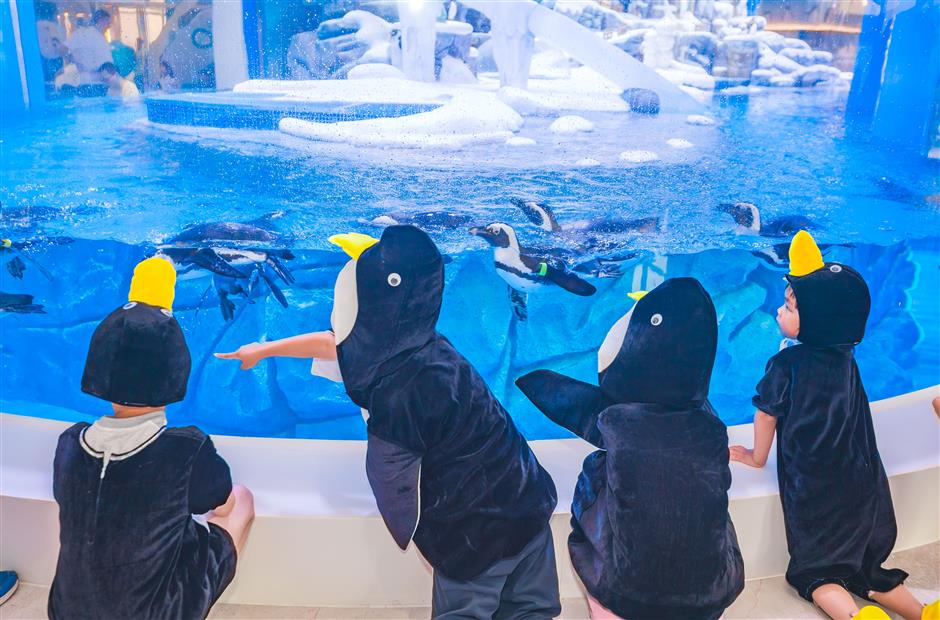 penguin-themed hotel opens in shanghai haichang ocean park