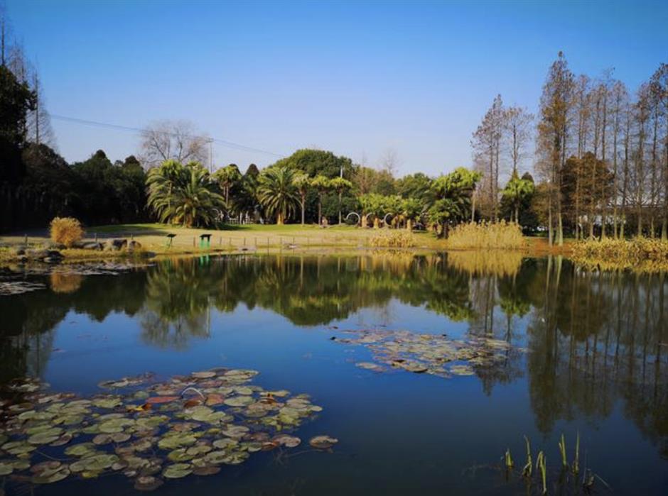 exhibition showcases past and present of city's parks