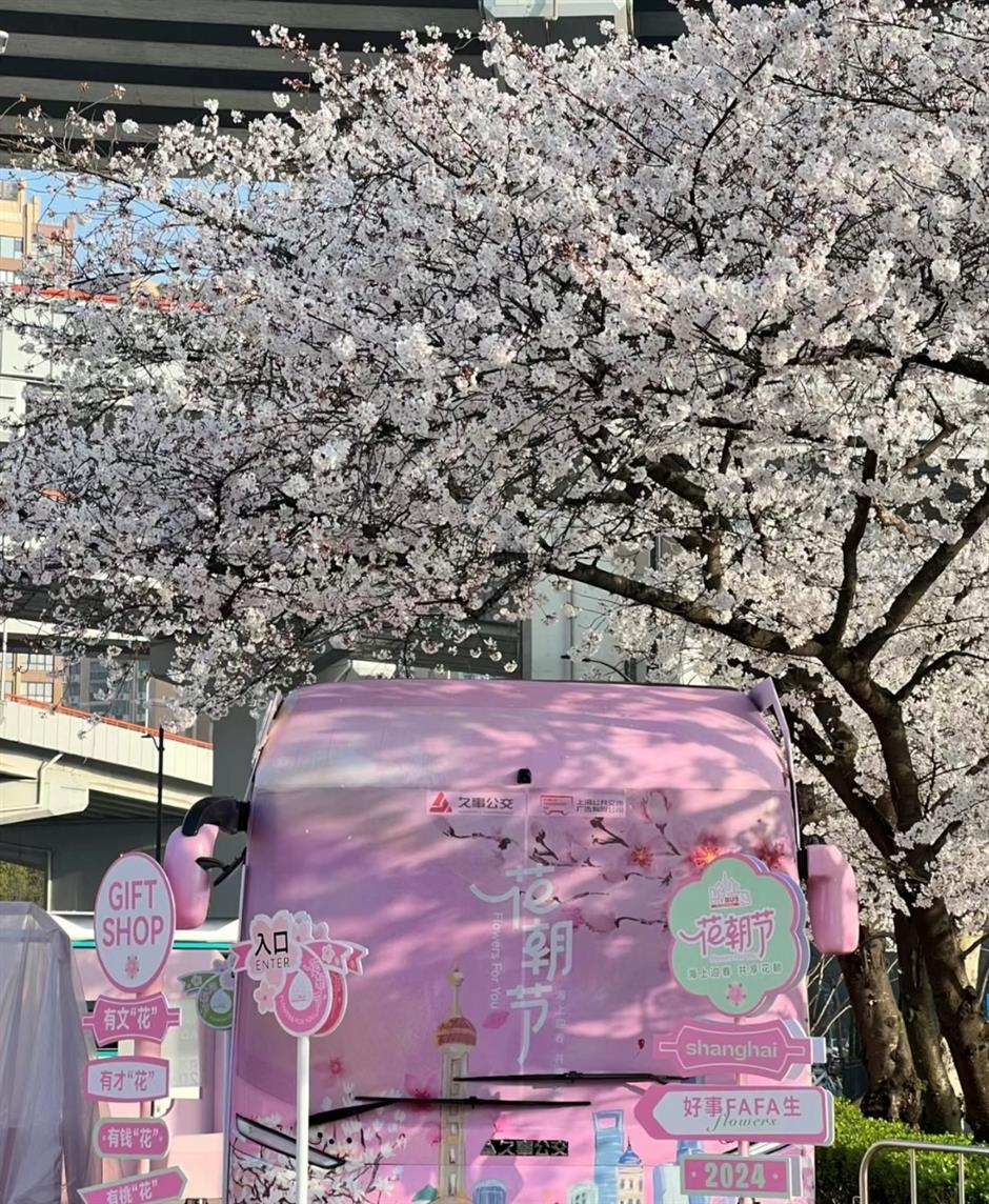 it's spring and shanghai's metro stations, bus stops are blooming