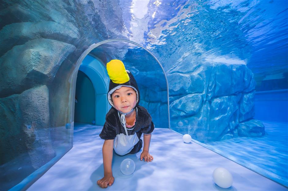 penguin-themed hotel opens in shanghai haichang ocean park