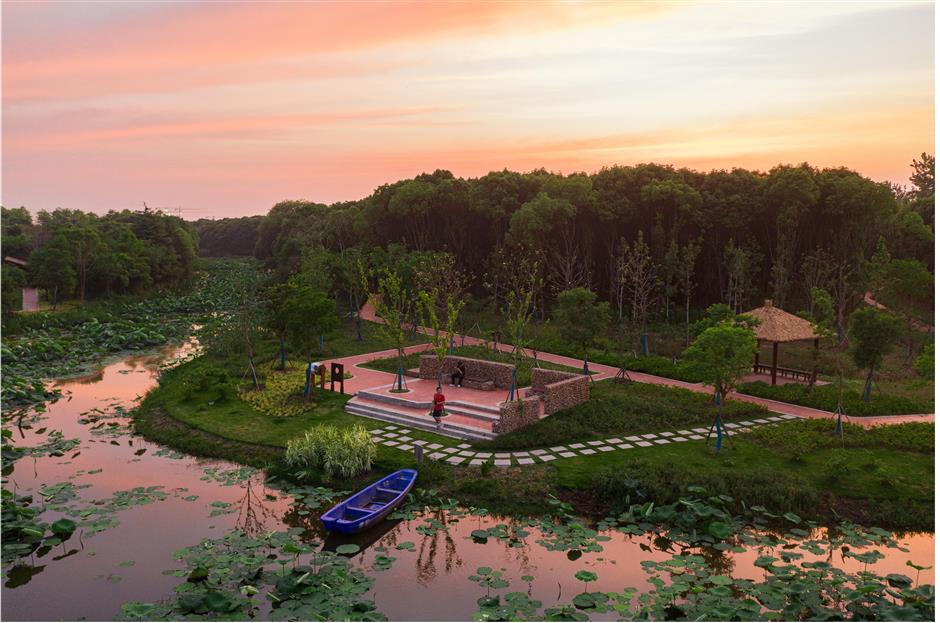 shanghai unveils plan to build 50 woodlands parks by 2025