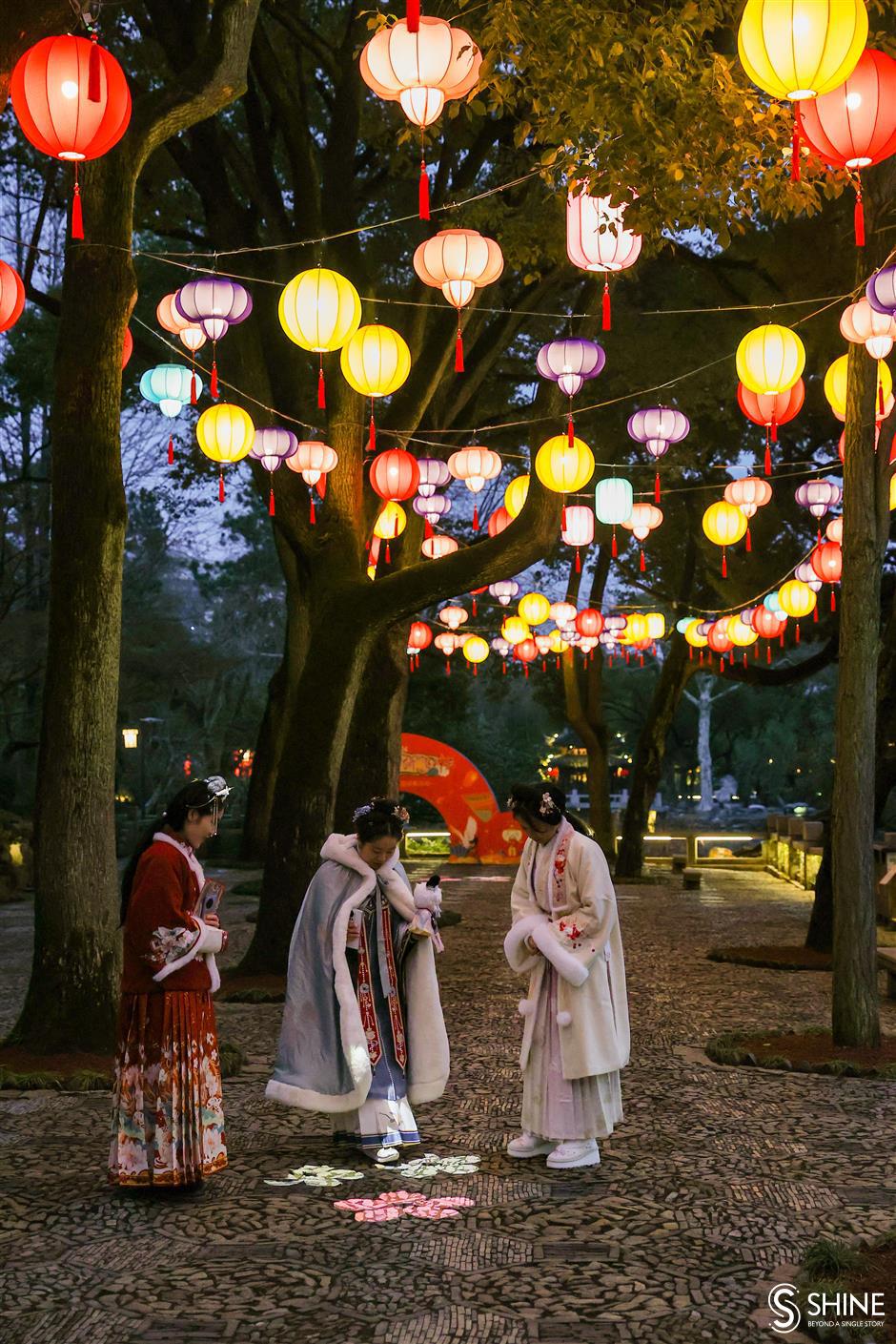 lantern fair lights up garden's new year celebrations