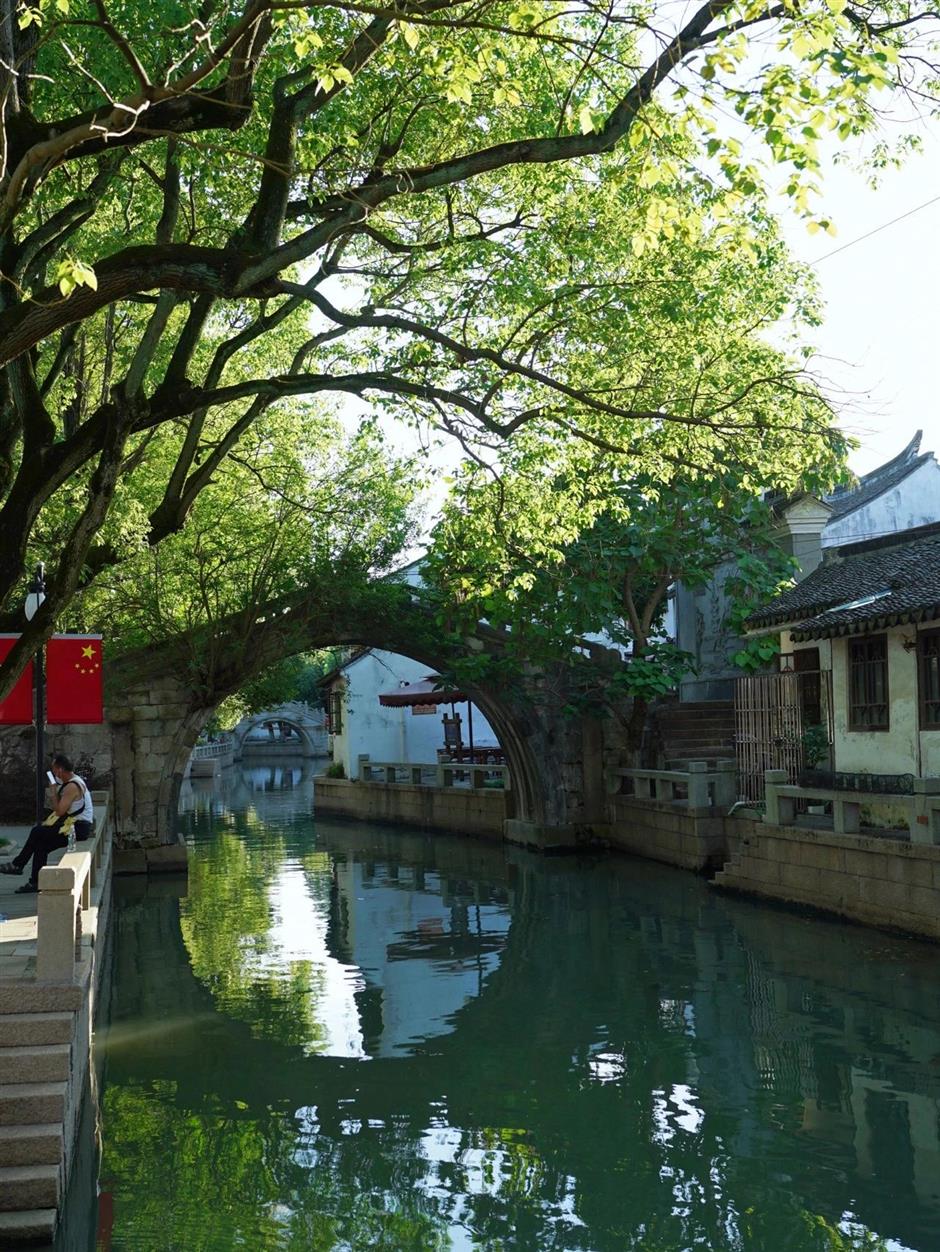 exploring shanghai's ancient towns and streets