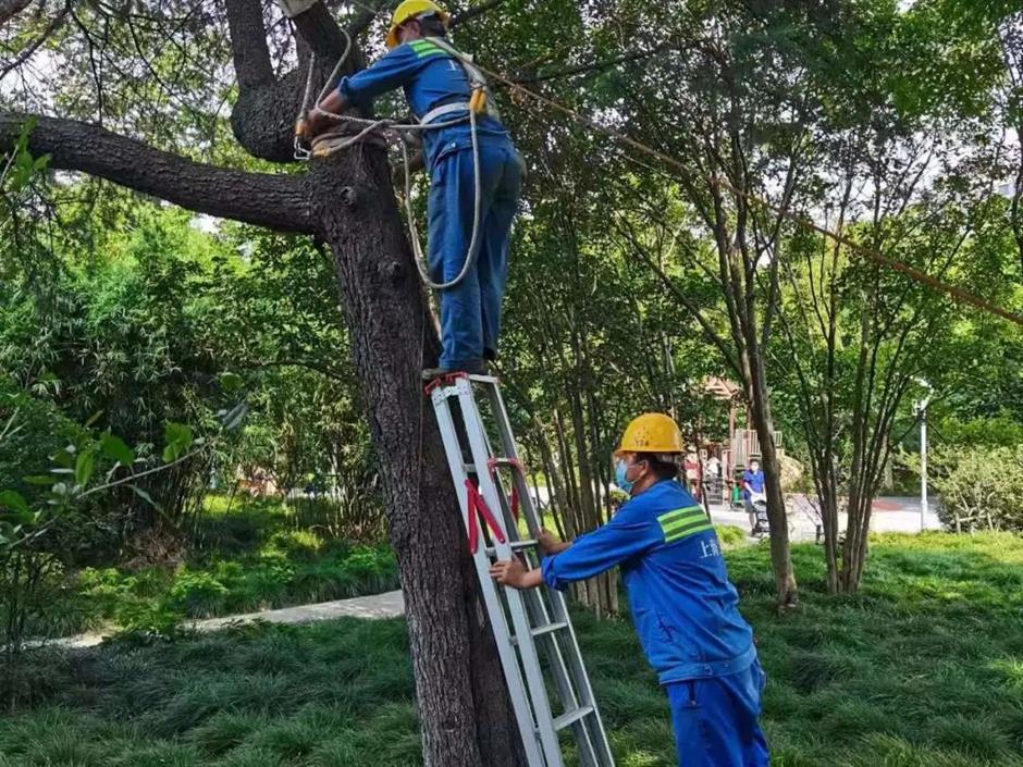 precautions being made as typhoon approaches