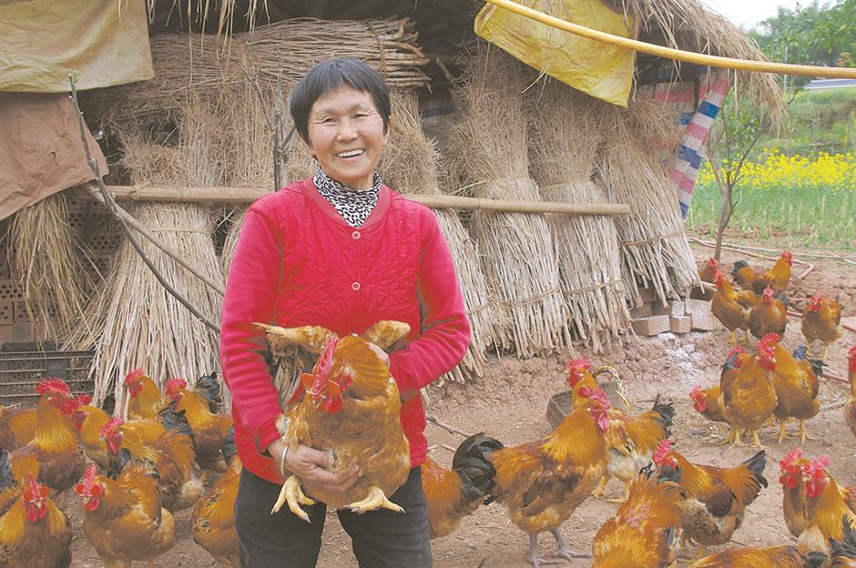 poultry farmers' skills upgraded and tea planters learn to expand their markets