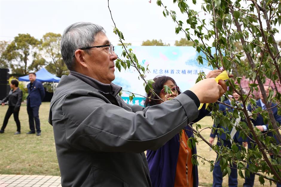 commemorative events held across the city for qingming festival