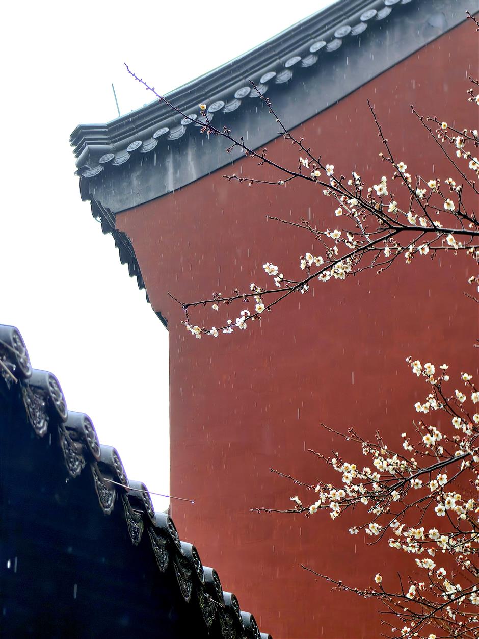 hangzhou offers performance, floral delights for spring festival holiday