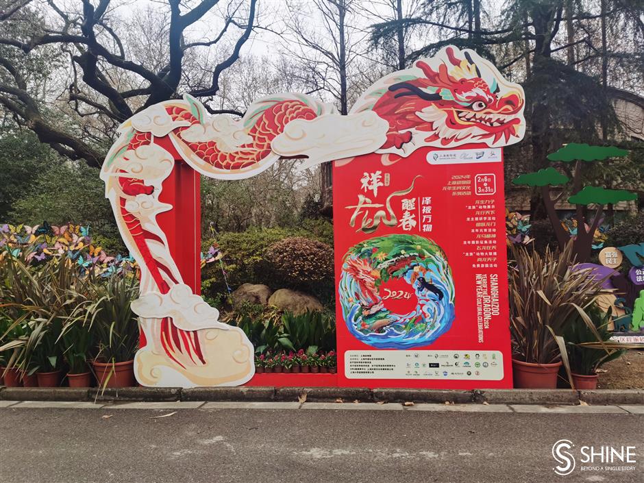 shanghai zoo welcomes year of the dragon with fun activities