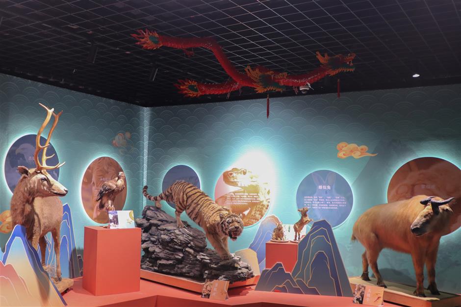 exhibition attempts to understand china's dragon fascination