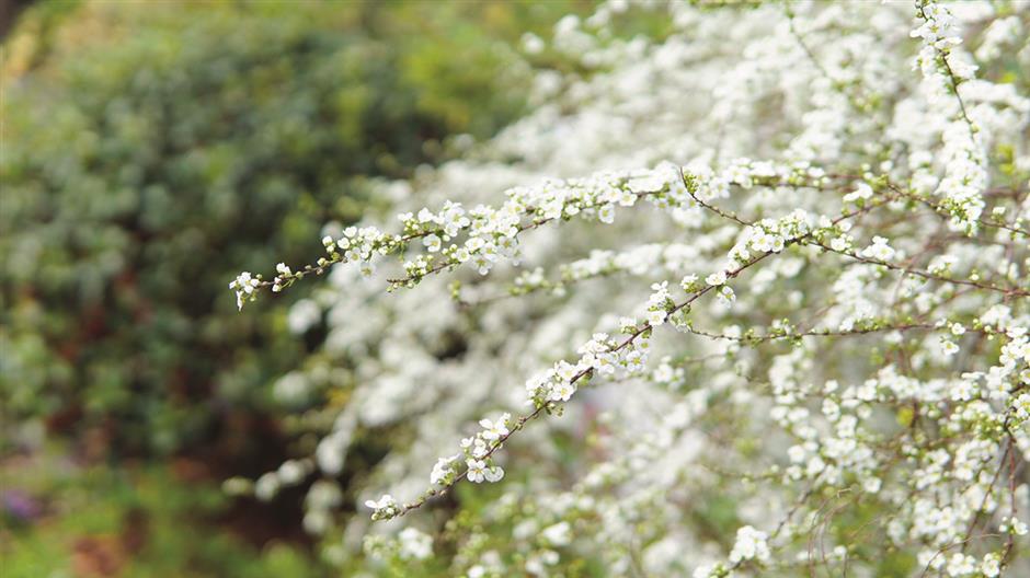 for a spring break, take a stroll in our beautiful backyard