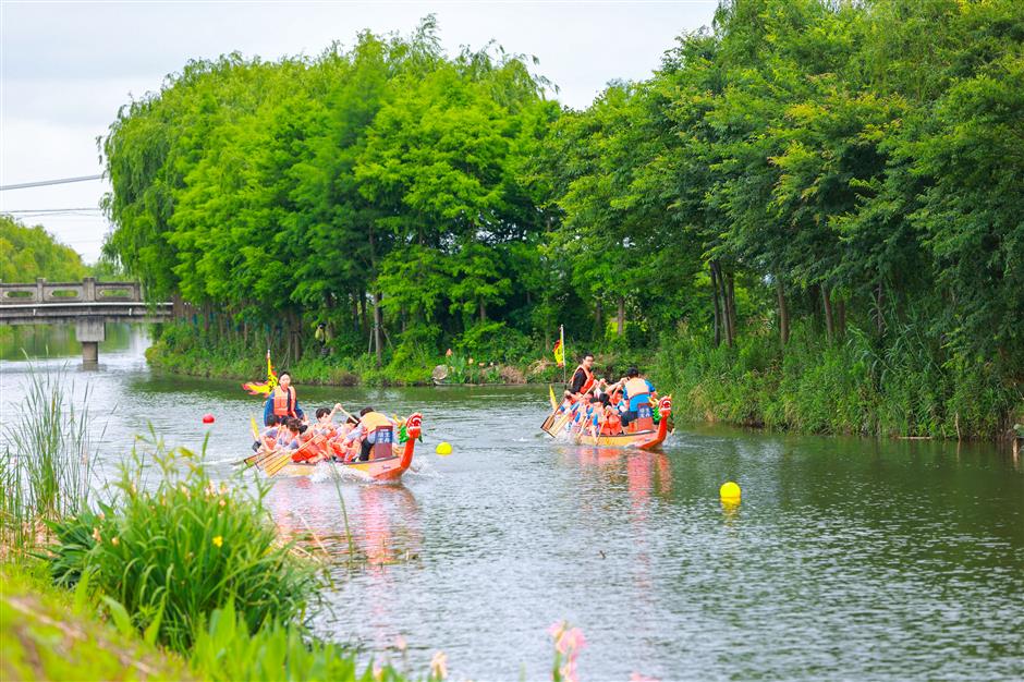 dragon boat race sheds light on rural revitalization in fengxian