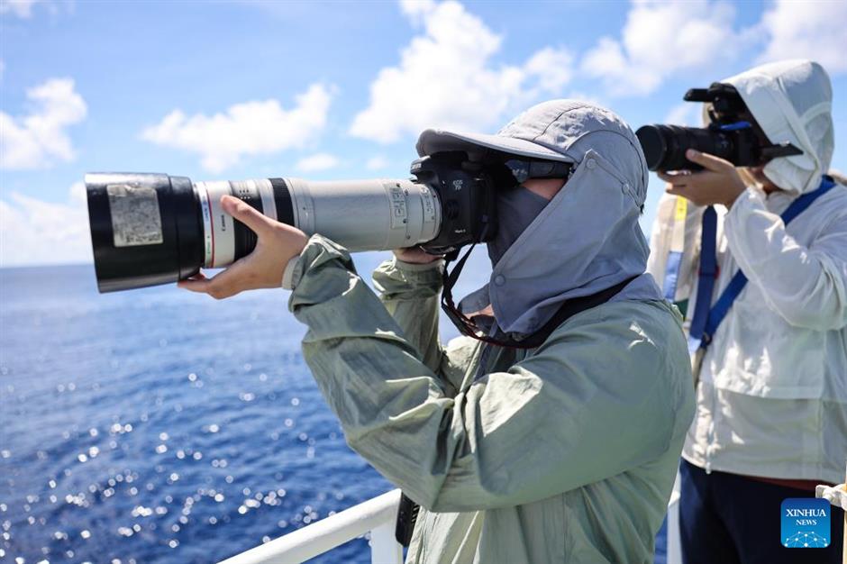 large number of cetaceans witnessed in s china's hainan