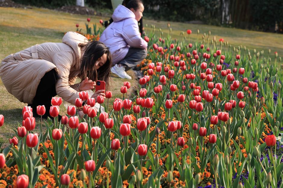 the night owls are out in shanghai parks as city green spaces open 24/7