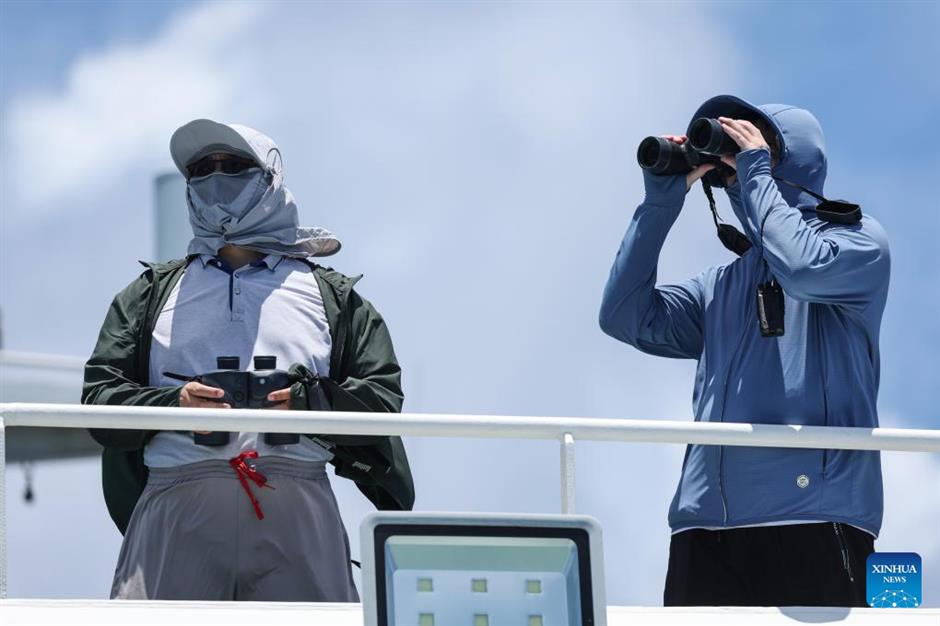 large number of cetaceans witnessed in s china's hainan