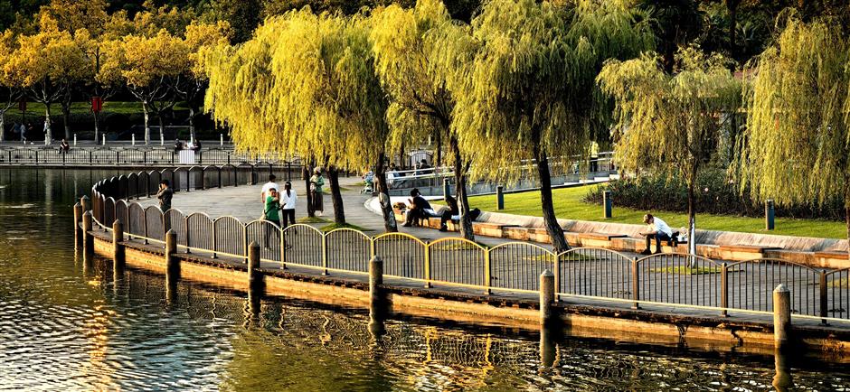 the night owls are out in shanghai parks as city green spaces open 24/7