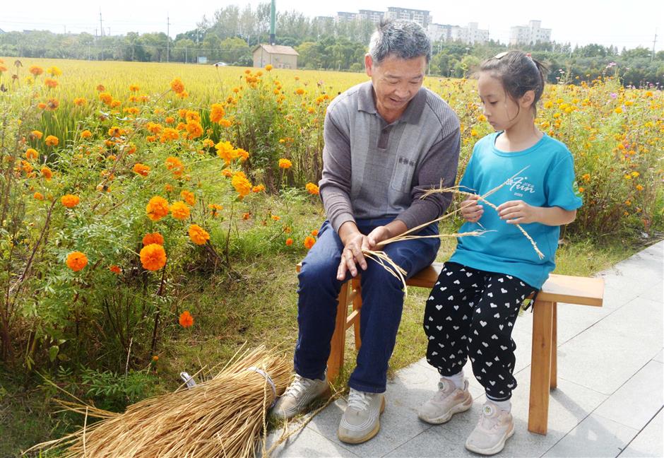 discovering shanghai's special towns: a journey through culture, nature, and adventure