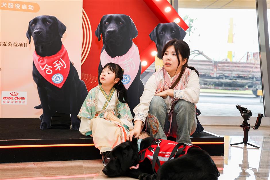 autism assistance dogs matched with families in need