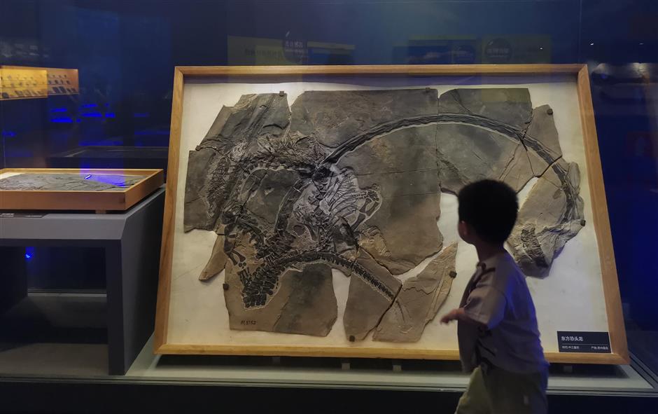 prehistoric creatures, centuries-old art and rock carvings on show