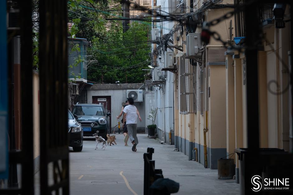 lockdown or not in jing'an, huangpu, putuo, jinshan, chongming