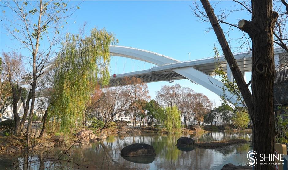 wild shanghai ep7: houtan wetland – a natural habitat for wildlife in downtown shanghai