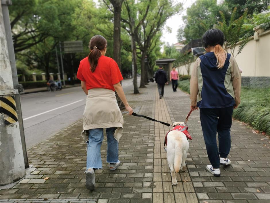 paw-sitive outcomes: autistic children who need help get a new leash on life