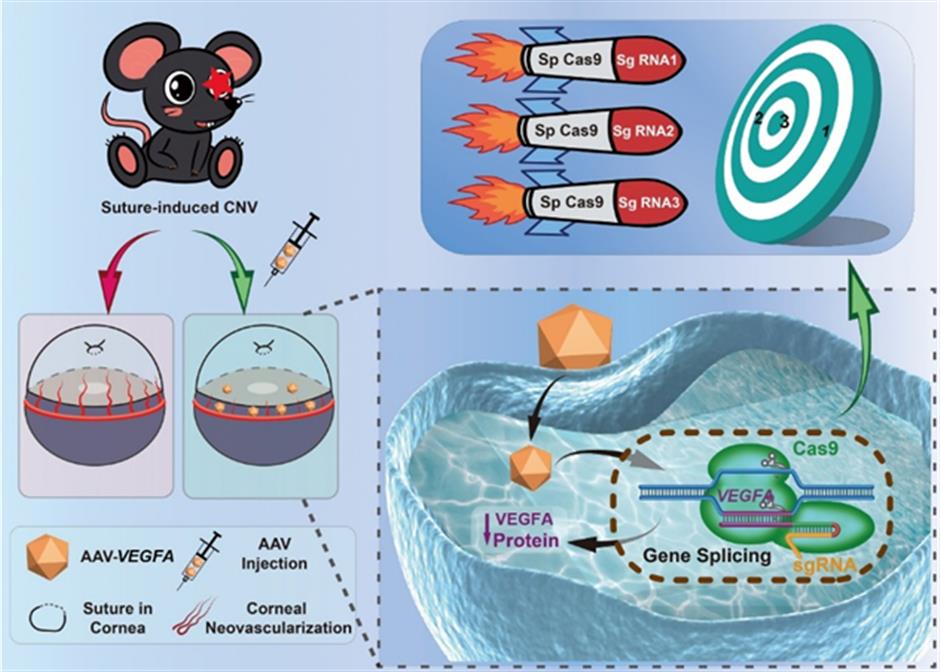 gene editing technology used to treat eye disease