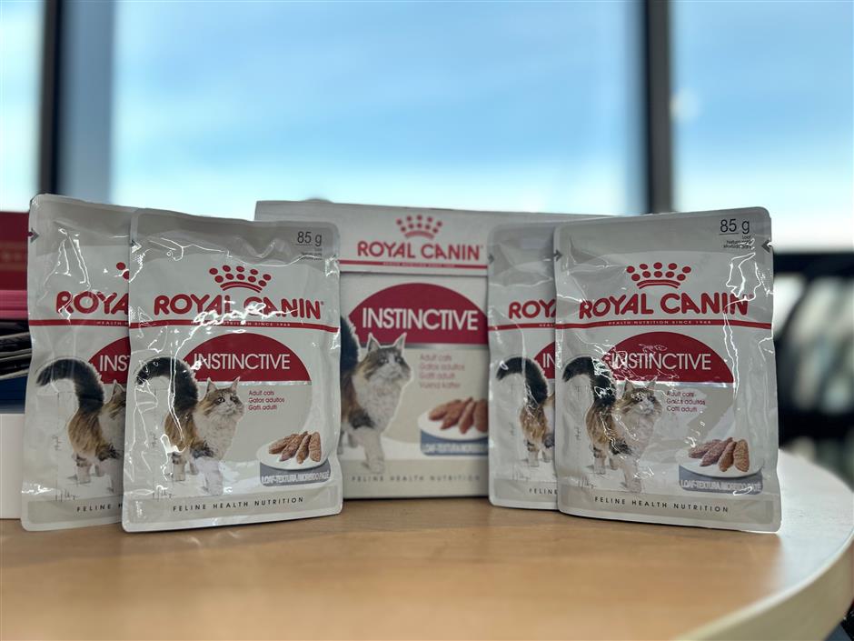 take the challenge: win free cat food for your furry friend