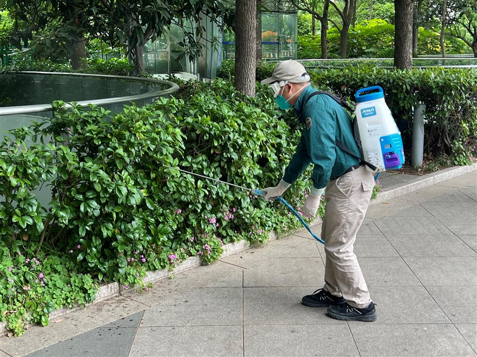 shanghai reports rising cases of dengue fever