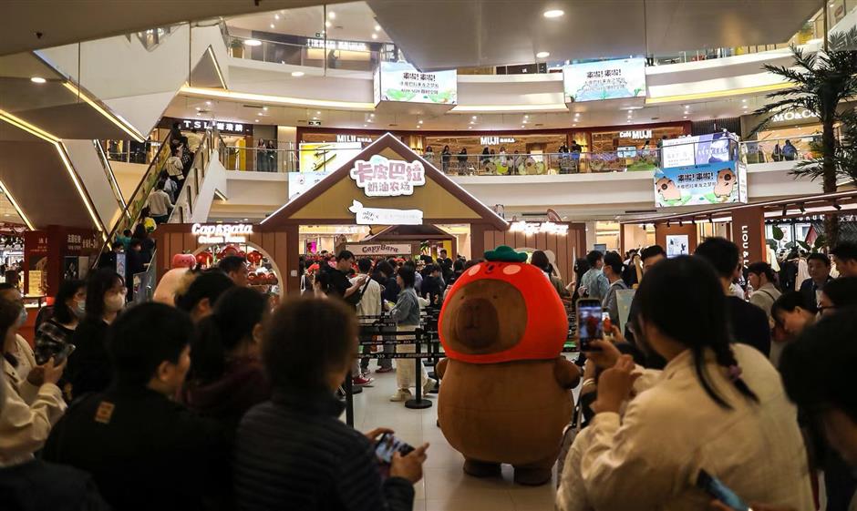 cute and cuddly capybara takes center stage