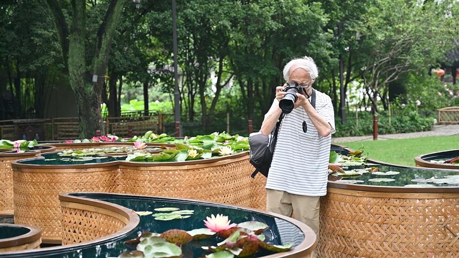 water blossoms on show at jiading festival