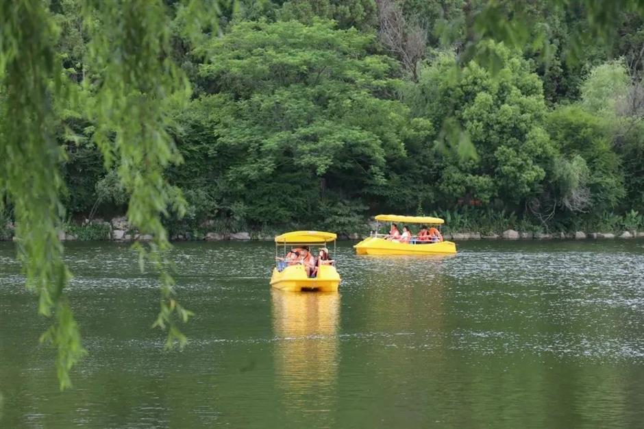 environmentally friendly routes take you to appreciate the beauty of shanghai's natural ecology