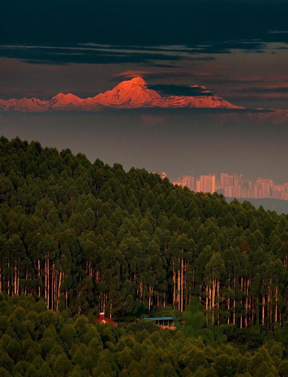 what is the story of chengdu?