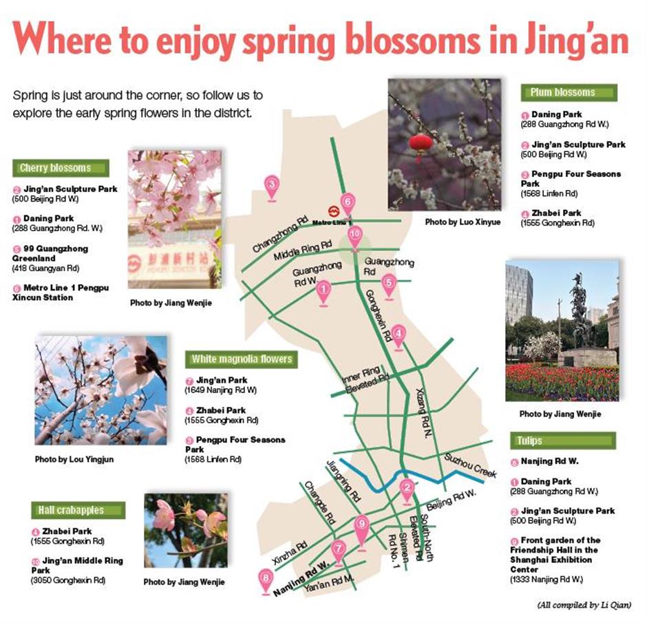 where to enjoy spring blossoms in jing'an