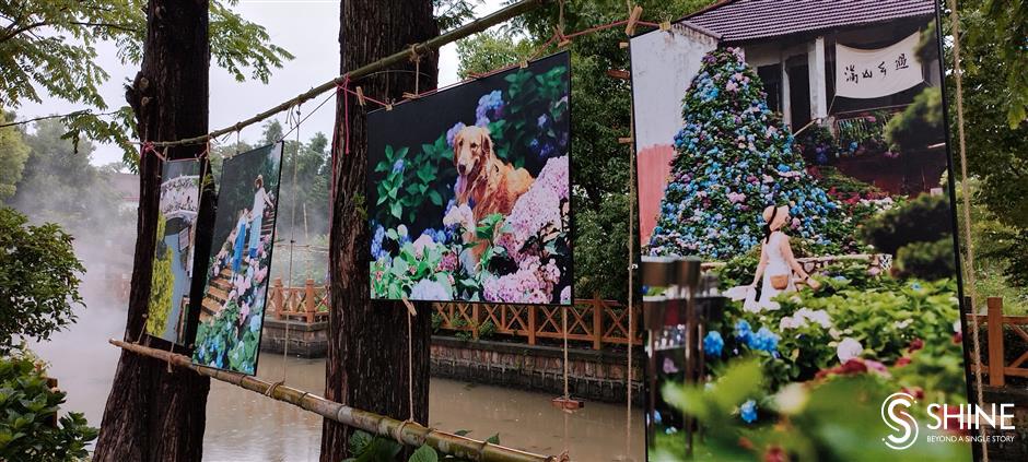 festival freeze frame: idyllic shanghai village comes into focus