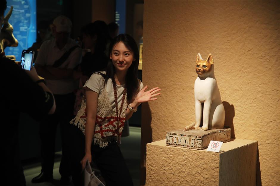 shanghai museum's cat nights expected to be smash hit