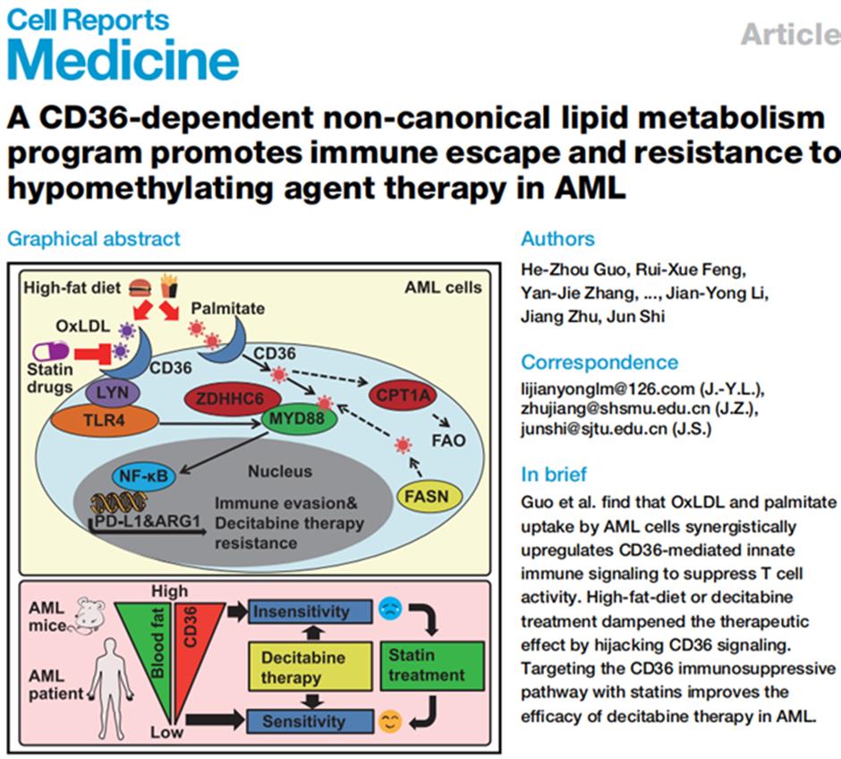 local researchers study drug resistance and leukemia relapse