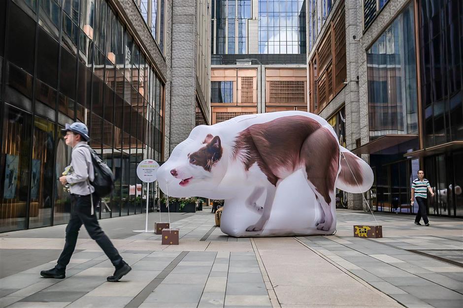 2024 bund art festival gives 'paws' for thought