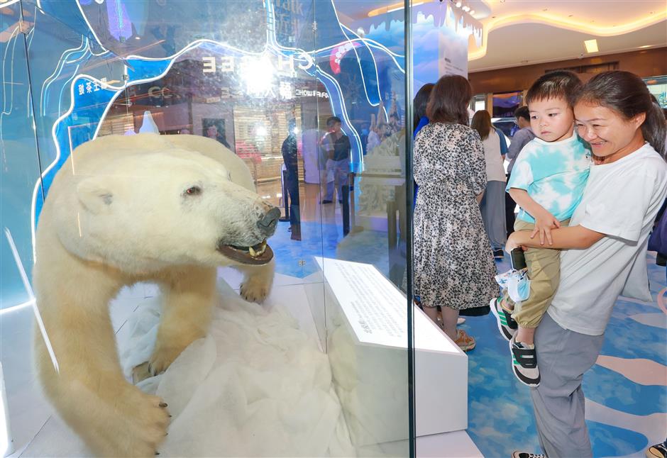 natural history museum puts rare specimens on display in mall