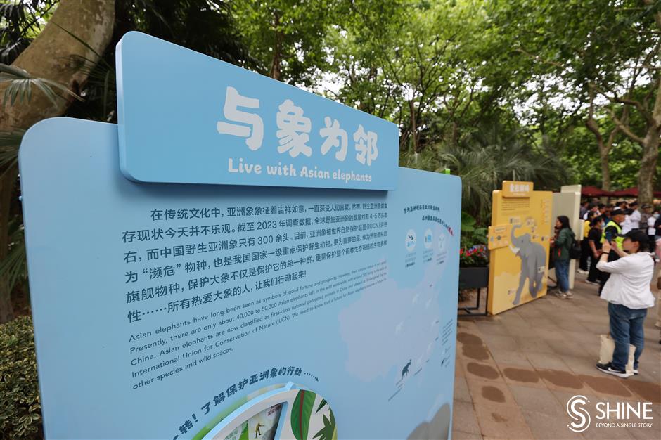 animal kingdom! shanghai zoo marks 70th anniversary