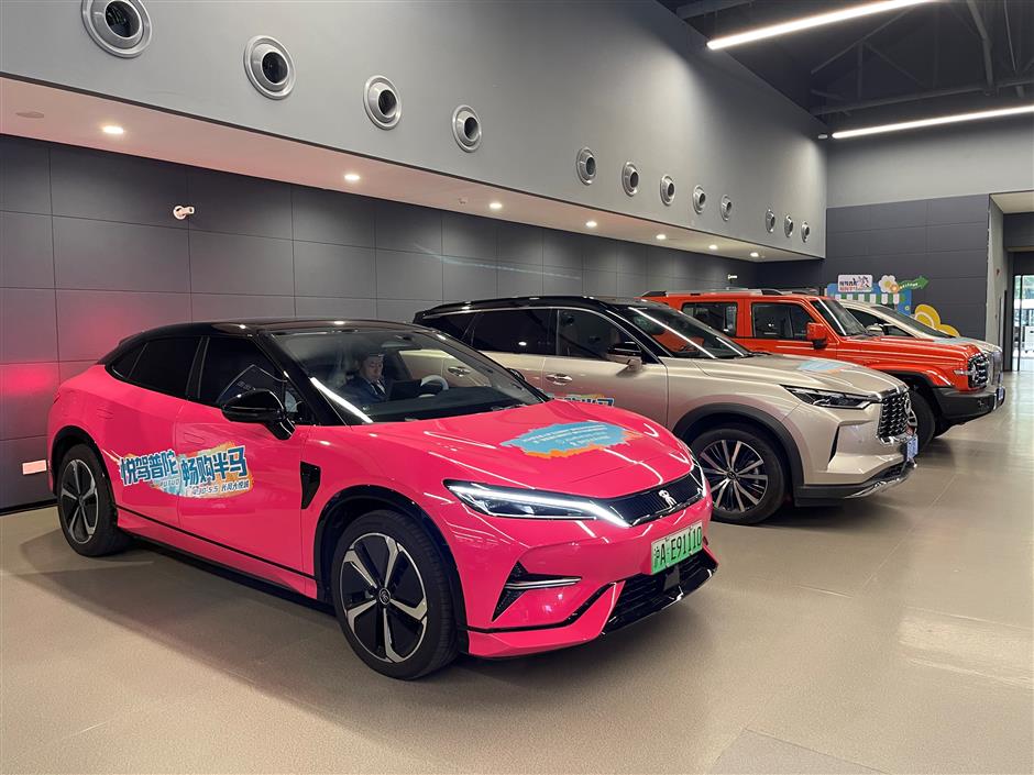 putuo unveils auto shopping carnival and green consumer initiatives