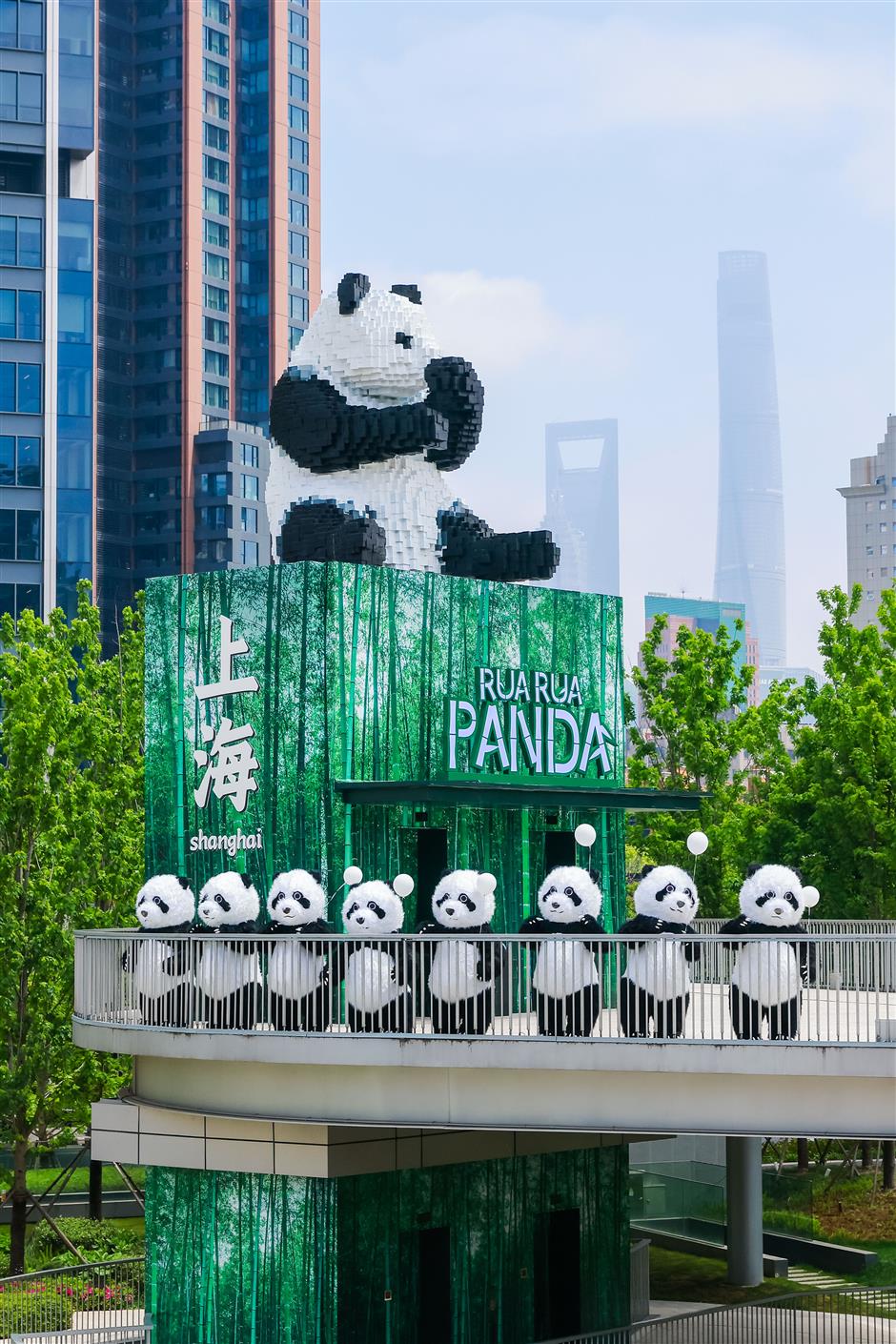 spend your holiday with pandas before their international travels