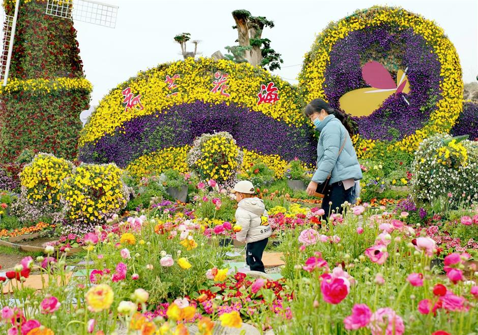 tip toe through the tulips at holland flower park