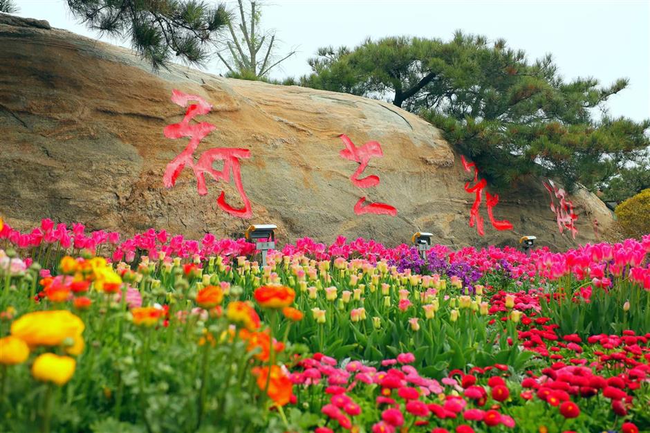 tip toe through the tulips at holland flower park