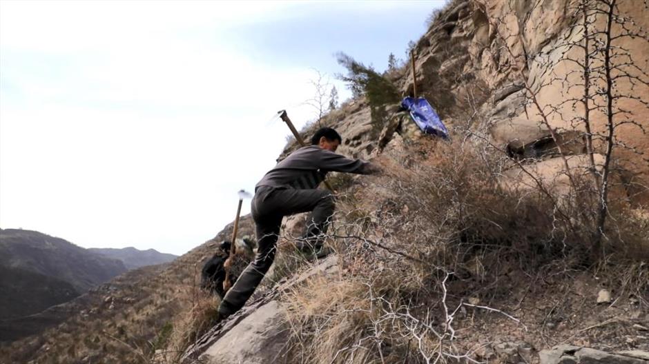 forests forever: china's tree-planting heroes make the impossible possible