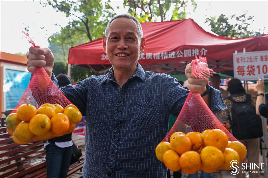 tangerine harvest is sweet treat for citizens