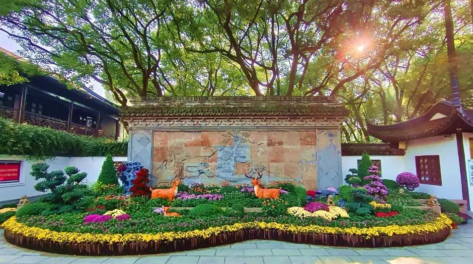 the air around zuibai pond is fragrant with the scent of chrysanthemums