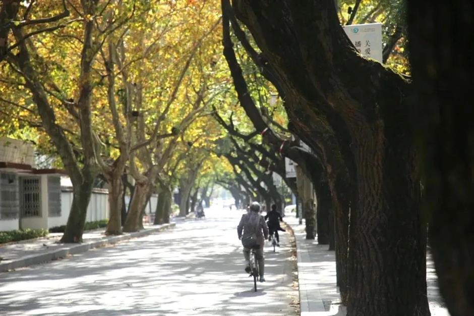 a stroll through time and tradition in socks lane