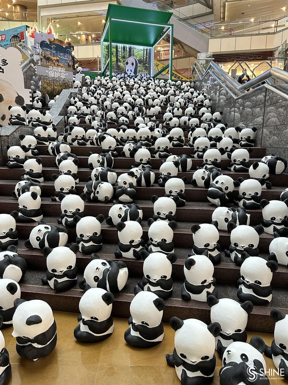 panda exhibition promotes nature conservation