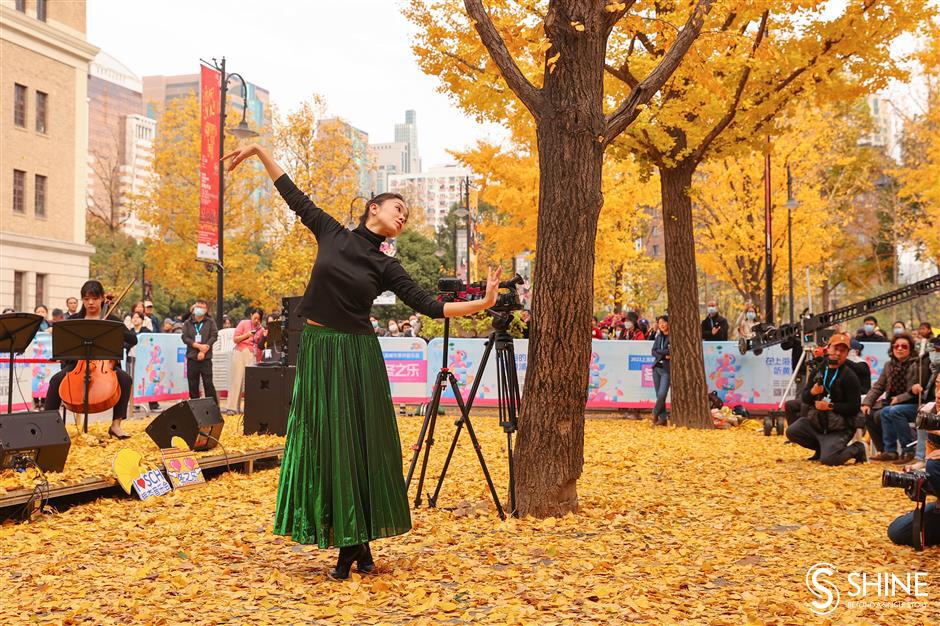 musical feast held under the ginkgo trees